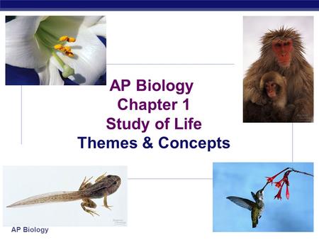 AP Biology Chapter 1 Study of Life Themes & Concepts