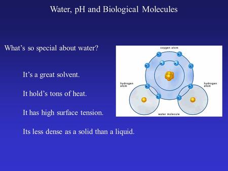 Whats so special about water? Its a great solvent. It holds tons of heat. It has high surface tension. Its less dense as a solid than a liquid. Water,