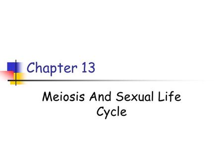 Meiosis And Sexual Life Cycle