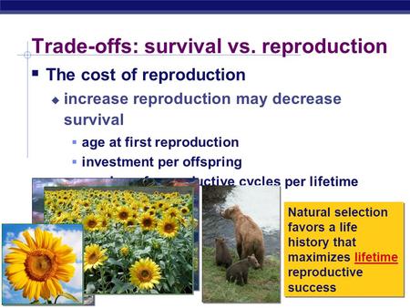 Trade-offs: survival vs. reproduction
