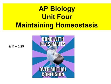AP Biology Unit Four Maintaining Homeostasis