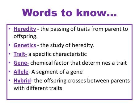 Words to know… Heredity - the passing of traits from parent to offspring. Genetics - the study of heredity. Trait- a specific characteristic Gene- chemical.