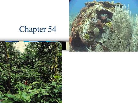 Chapter 54 Ecosystems.