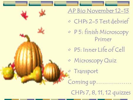 AP Bio November 12-13 CHPs 2-5 Test debrief