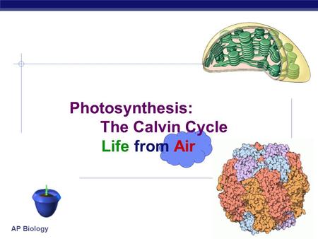Photosynthesis: The Calvin Cycle Life from Air