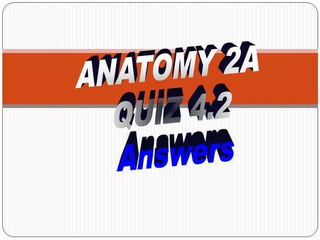 ANATOMY 2A QUIZ 4.2 Answers.