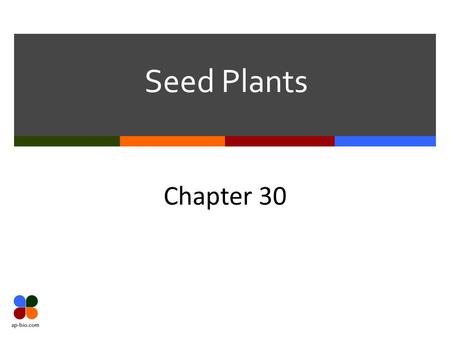 Seed Plants Chapter 30.