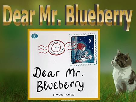 Dear Mr. Blueberry.