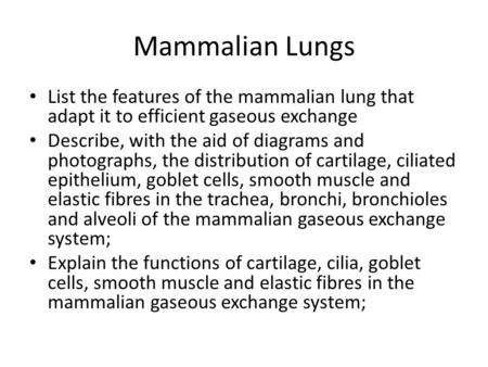 Mammalian Lungs List the features of the mammalian lung that adapt it to efficient gaseous exchange Describe, with the aid of diagrams and photographs,