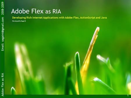 Adobe Flex as RIA   2008-2009 1 Adobe Flex as RIA Developed by Sagar K Developing Rich Internet Applications with Adobe Flex, ActionScript.
