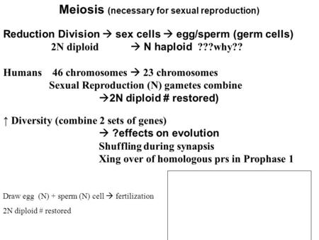 Meiosis (necessary for sexual reproduction)