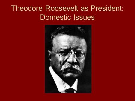 Theodore Roosevelt as President: Domestic Issues