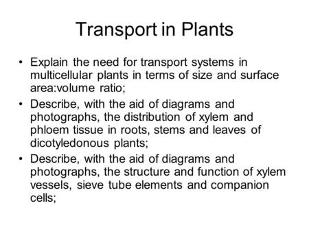 Transport in Plants Explain the need for transport systems in multicellular plants in terms of size and surface area:volume ratio; Describe, with the aid.