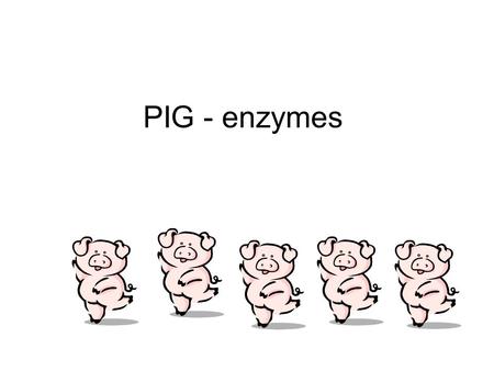 PIG - enzymes.