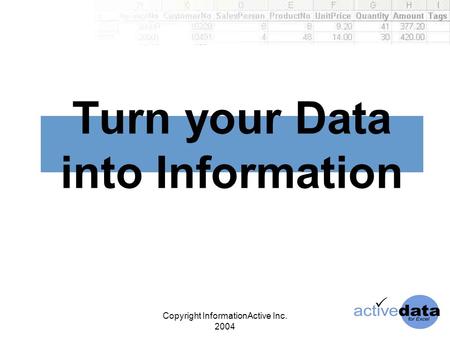 Copyright InformationActive Inc. 2004 Turn your Data into Information.