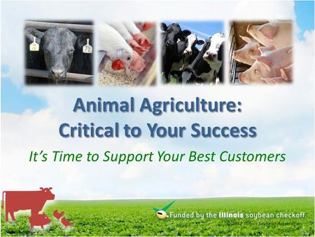 Animal Agriculture: Critical to Your Success Its Time to Support Your Best Customers © 2012 Illinois Soybean Association.