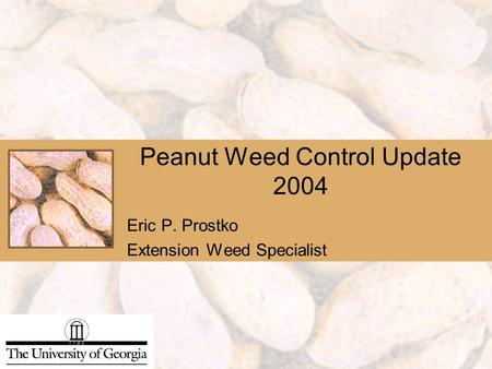 Peanut Weed Control Update 2004 Eric P. Prostko Extension Weed Specialist.