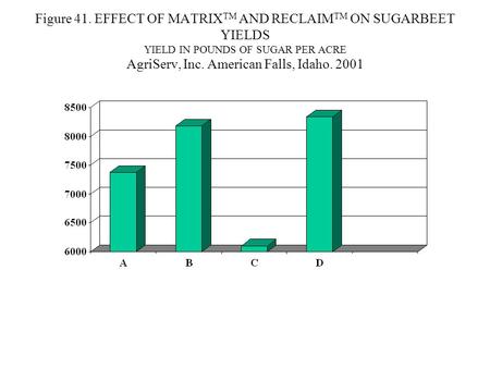 Figure 41. EFFECT OF MATRIX TM AND RECLAIM TM ON SUGARBEET YIELDS YIELD IN POUNDS OF SUGAR PER ACRE AgriServ, Inc. American Falls, Idaho. 2001.