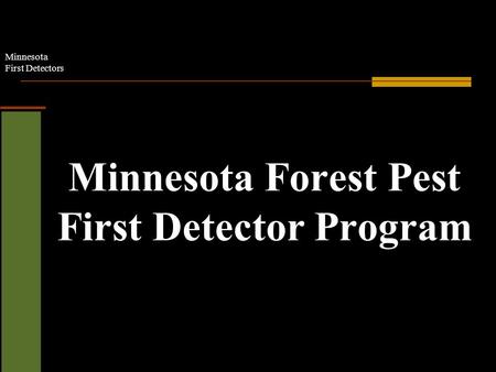 Minnesota First Detectors Minnesota Forest Pest First Detector Program.