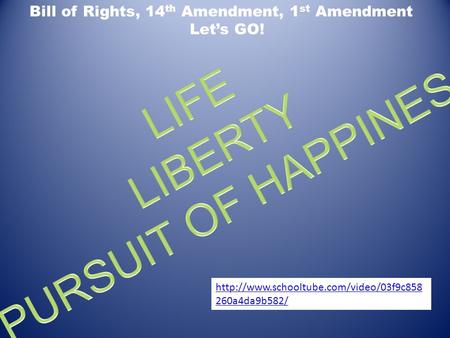 LIBERTY PURSUIT OF HAPPINESS