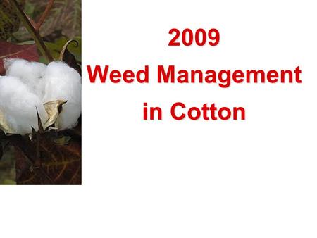 2009 Weed Management in Cotton. Getting Serious About Herbicide-Resistant Weeds.