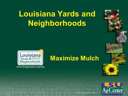 Louisiana Yards and Neighborhoods Maximize Mulch www.lsuagcenter.com/lyn.