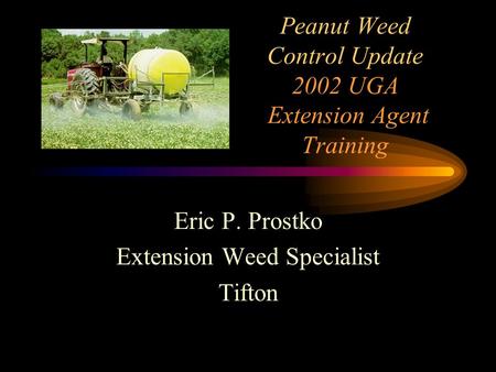 Peanut Weed Control Update 2002 UGA Extension Agent Training Eric P. Prostko Extension Weed Specialist Tifton.