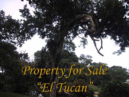 Property for Sale El Tucan. Blue Print The property is 10,902 Square meter. The road entrance for the property is part of the total extension. It has.