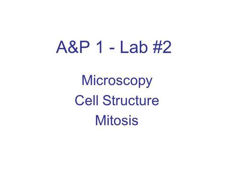 Microscopy Cell Structure Mitosis