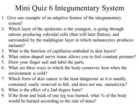 Mini Quiz 6 Integumentary System