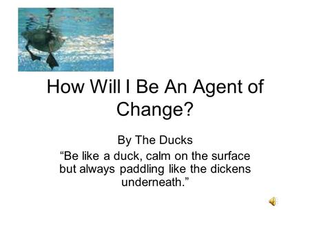 How Will I Be An Agent of Change? By The Ducks Be like a duck, calm on the surface but always paddling like the dickens underneath.