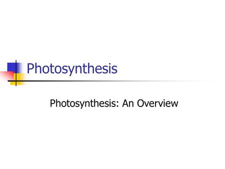 Photosynthesis Photosynthesis: An Overview. Photosynthesis Plants use sunlight to convert water (H 2 O) and carbon dioxide (CO 2 ) into high energy carbohydrates,