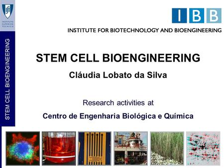 STEM CELL BIOENGINEERING Cláudia Lobato da Silva Research activities at Centro de Engenharia Biológica e Química.