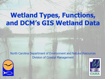 Wetland Types, Functions, and DCM’s GIS Wetland Data