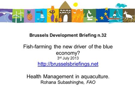 Brussels Development Briefing n