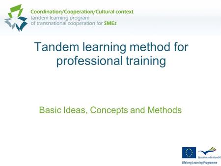 Tandem learning method for professional training Basic Ideas, Concepts and Methods.