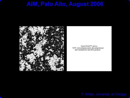 AIM, Palo Alto, August 2006 T. Witten, University of Chicago.