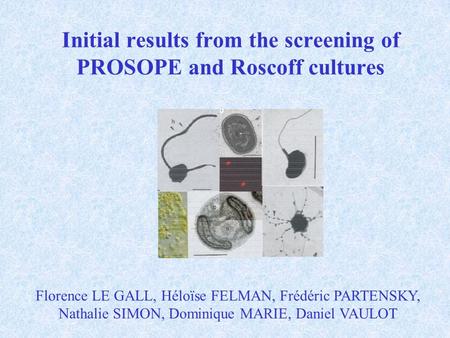 Initial results from the screening of PROSOPE and Roscoff cultures Florence LE GALL, Héloïse FELMAN, Frédéric PARTENSKY, Nathalie SIMON, Dominique MARIE,