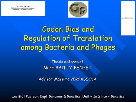 Codon Bias and Regulation of Translation among Bacteria and Phages