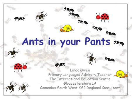 Ants in your Pants Linda Owen Primary Languages Advisory Teacher