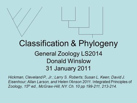 Classification & Phylogeny