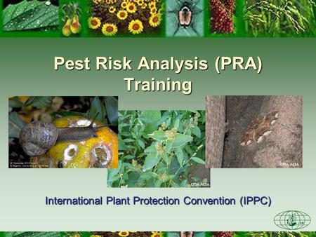 Pest Risk Analysis (PRA) Training
