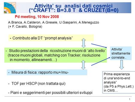 1 Attivita su analisi dati cosmici (CRAFT: B=3.8 T & CRUZET(B=0) Pd meeting, 10 Nov 2008 A.Branca, A.Calderon, A.Gresele, U.Gasparini, A.Meneguzzo (+ F.