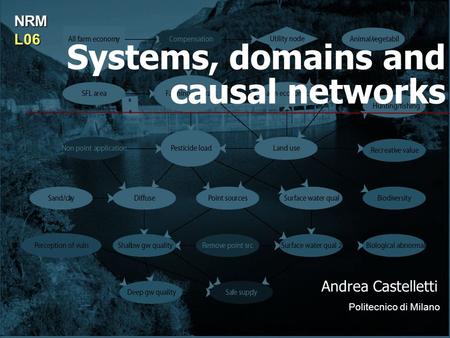 Systems, domains and causal networks Andrea Castelletti Politecnico di Milano NRML06.
