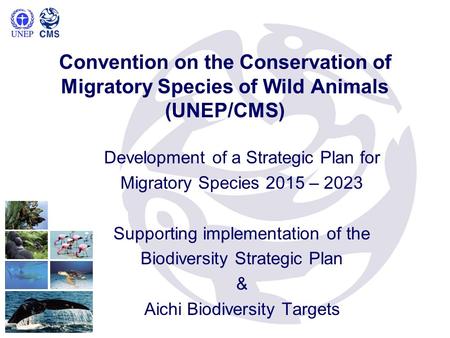 Development of a Strategic Plan for Migratory Species 2015 – 2023