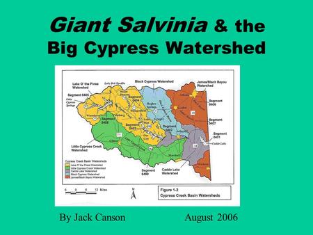 Giant Salvinia & the Big Cypress Watershed By Jack CansonAugust 2006.