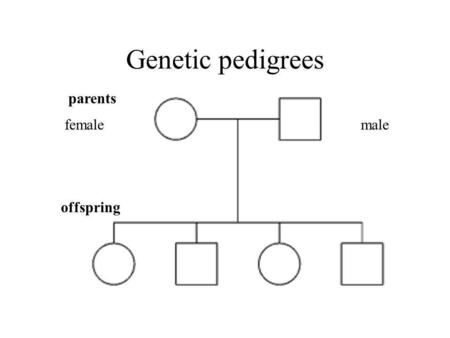 Genetic pedigrees parents female male offspring.