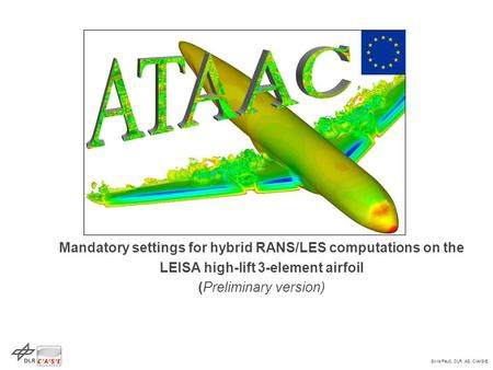 Mandatory settings for hybrid RANS/LES computations on the LEISA high-lift 3-element airfoil (Preliminary version)
