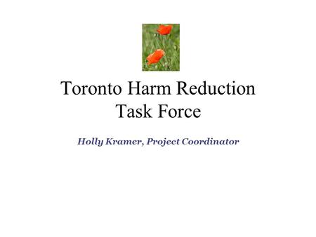 Toronto Harm Reduction Task Force Holly Kramer, Project Coordinator.