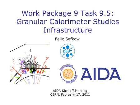 Work Package 9 Task 9.5: Granular Calorimeter Studies Infrastructure Felix Sefkow AIDA Kick-off Meeting CERN, February 17, 2011.